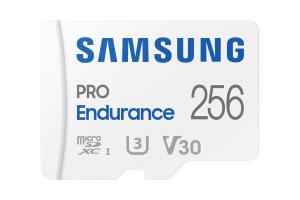 Micro Sd - Pro Endurance 256GB U3