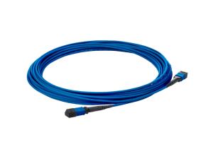 Premier Flex MPO/MPO Multi-mode OM4 12 Fiber Cable 15m