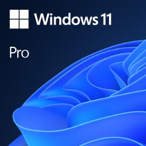 Windows 11 Pro 64bit Oem - 1 Users - Win - French