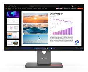 Desktop Monitor - P24Q-40 - 24in - 2560x1440 (QHD) - 4ms IPS 120Hz